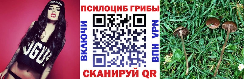 Псилоцибиновые грибы прущие грибы  купить наркотики цена  mega как зайти  Лосино-Петровский 